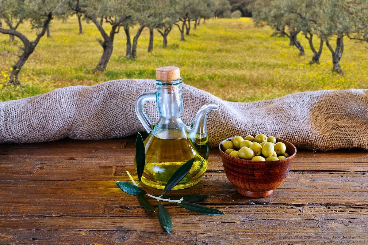 Com classificar oli d'oliva